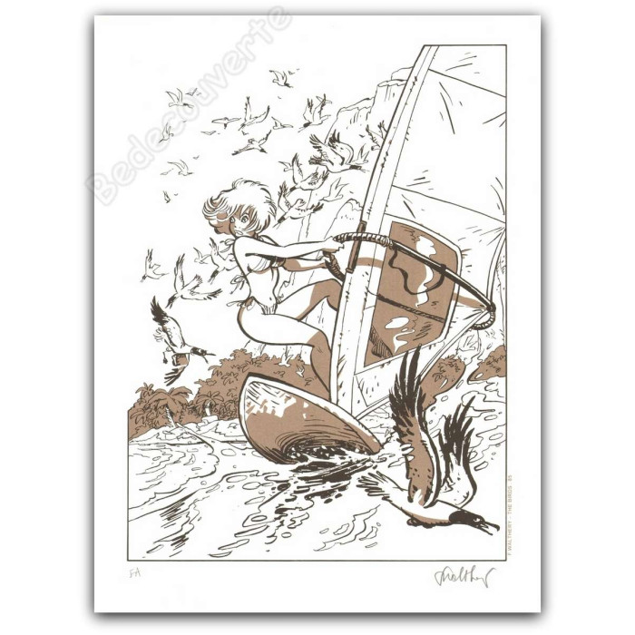 Walthéry - Natacha The birds Brun